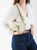 Cross Body Tas Love Bag Icon Leder Pinko Beige love bag icon A1YB-vue-porte