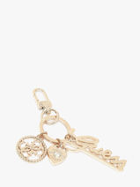 Sleutelhanger Guess Goud keyring 801P5401-vue-porte