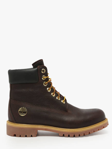 Enkellaarzen Uit Leder Timberland Bruin men 2P6WEXU1